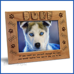 Pet Frame