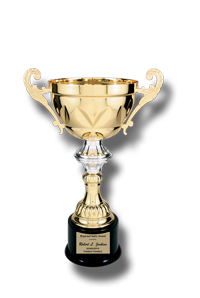J3 Metal Trophy Cup